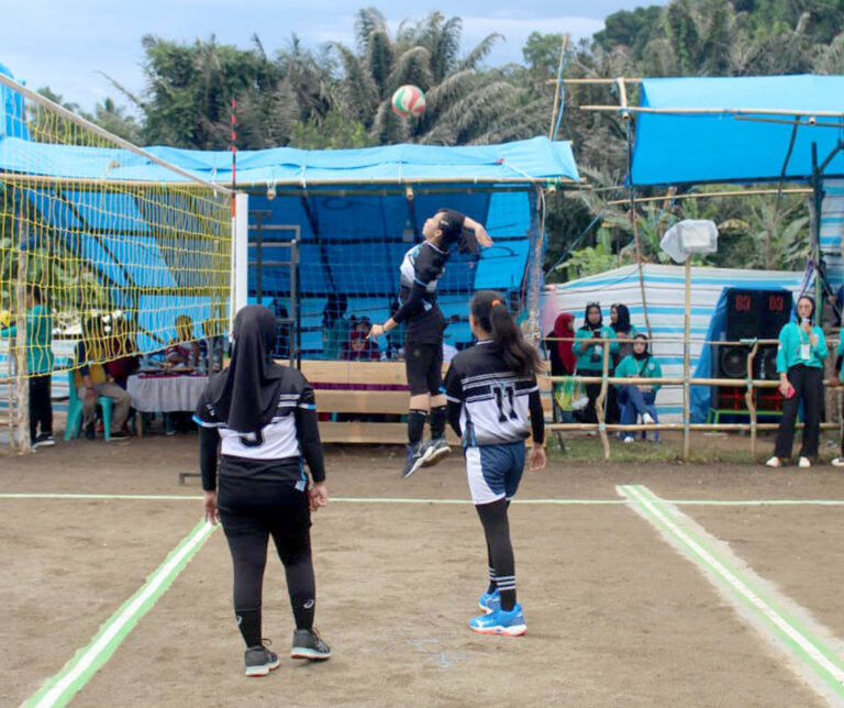 21 Tim Ikuti Turnamen Bola Voli Batupapan Cup V Desa Duampanua